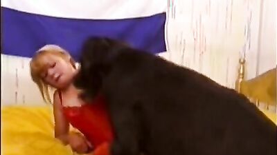 Animal sex video: bestiality breeding