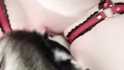 Bestiality video: bestiality video 34