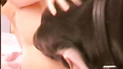 Mimi dog porn: bulls gay video zoo