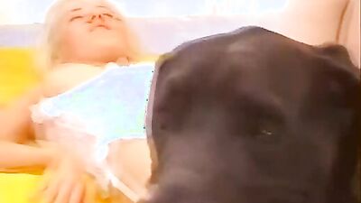 Bestiality sex: sex xxx zoo dog 2026