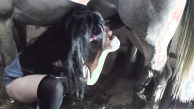 Women's dog sex: free sex with dogs