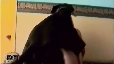3d bestiality: dog sex hentai