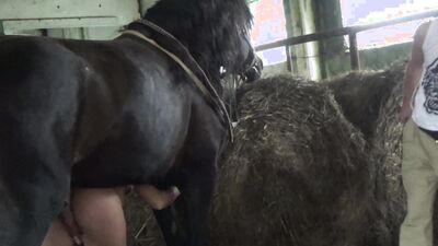 Zoophilia porn: mature dog sex