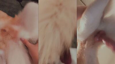 Dog girl porn: turtle fuck zoo sex 18