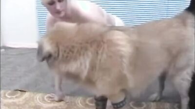 Zoo porno video: ultimate dogs fucking girls compilation