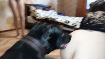 Animal cross porn: russian zoo sex video