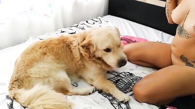 Bestiali comics: zoo porn dog dick