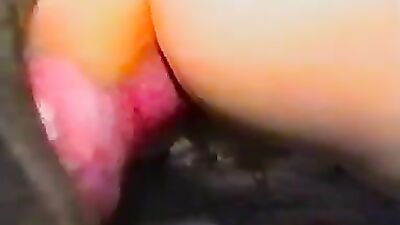 Zoophilia video: zoophilia and dogs