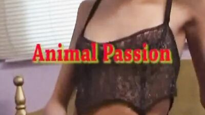 Zoo porno video: hidden cam dog sex