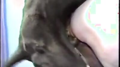 2 dogs 1 girl: zoo porn sperm