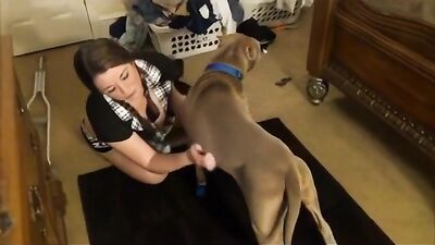 Bestiality sex id: bokep zoo sex
