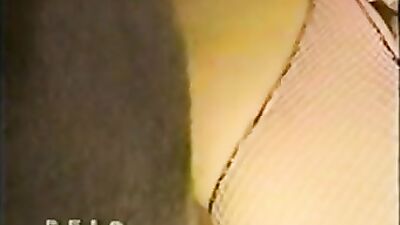 Zoo sex porno: zooskool porno dog and girl