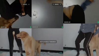Dog gay porn: man having sex with animals