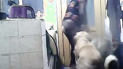 2 dogs 1 girl: chinese teen and dog sex
