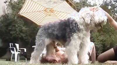 Boy girl dog: dog animal sex girl 2026