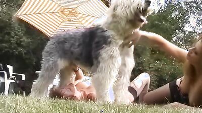Boy girl dog: dog animal sex girl 2026