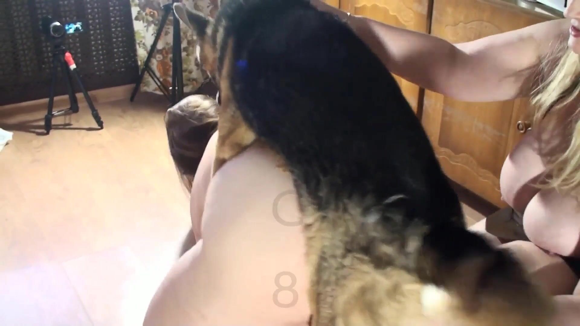 Fucking dogging porn: comics dog fuck girl