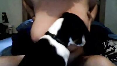 Girl playing dog: girl licking dog s pussy