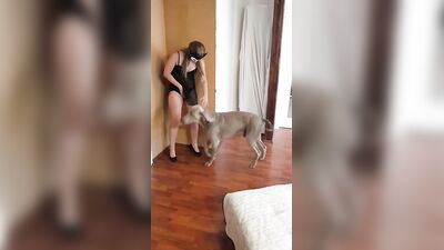 Zoo sex porno: porn bestiality lena