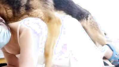 Girl dog video: gorilla fuck woman zoo porn