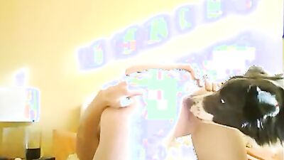 Dog girl play: zoo porno xxx video 2025 2026