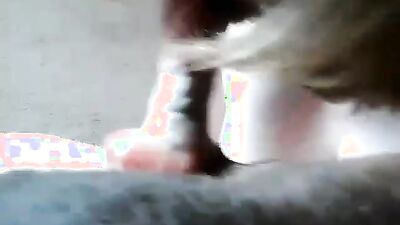 Bestiality video: bestiality love
