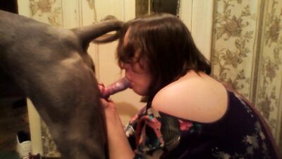 Animal zoo sex: animal sex izle