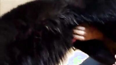 Mimi dog girl: girl vs dog porn