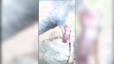 New zoo porn: real amateur zoo porn videos
