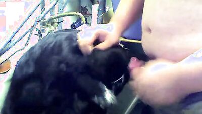Zoophilia porno: young girl dog