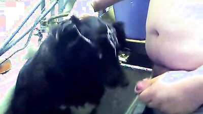 Zoophilia porno: young girl dog
