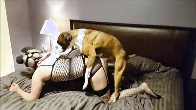 1 girl 5 dog: chessy moore dog sex porno