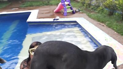 Russian zoo porn: lara croft porno animal