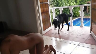 Russian zoo porn: lara croft porno animal