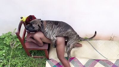 2 dogs 1 girl: andy zoo porn