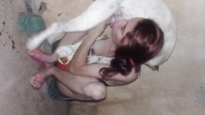 Zoo fucking porn: art of zoo anal