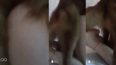 Art of zoo porn: dog fuck tomoko kuroki porn animation