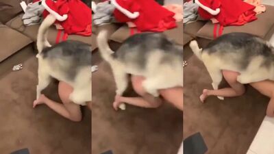 Zoo sex: hentai cumshot horse bestiality