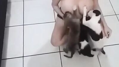 Bestiality sex id: sex mouse zoo