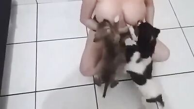 Bestiality sex id: sex mouse zoo