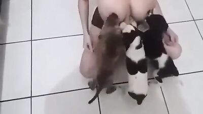 Bestiality sex id: sex mouse zoo