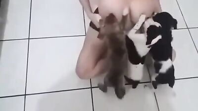 Bestiality sex id: sex mouse zoo