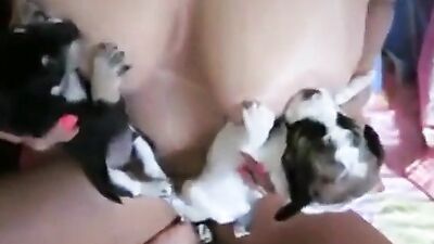Zoo dog porn: sfm bestiality 3d porno