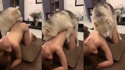 Bestiality dog: wife zoo porn