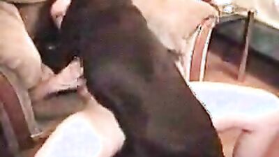 Bestiality: dog sex 3d cartoon vintage