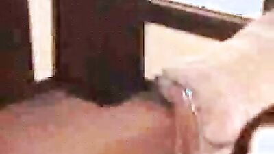 Bestiality: dog sex 3d cartoon vintage