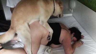 Art of zoo porn: dog porn doggy