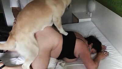 Art of zoo porn: dog porn doggy