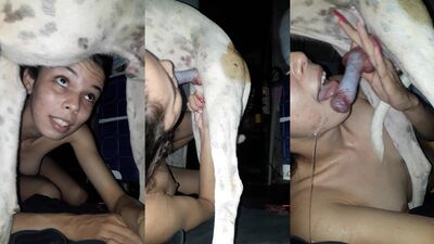 3d dog porn: dog fucking gay porn