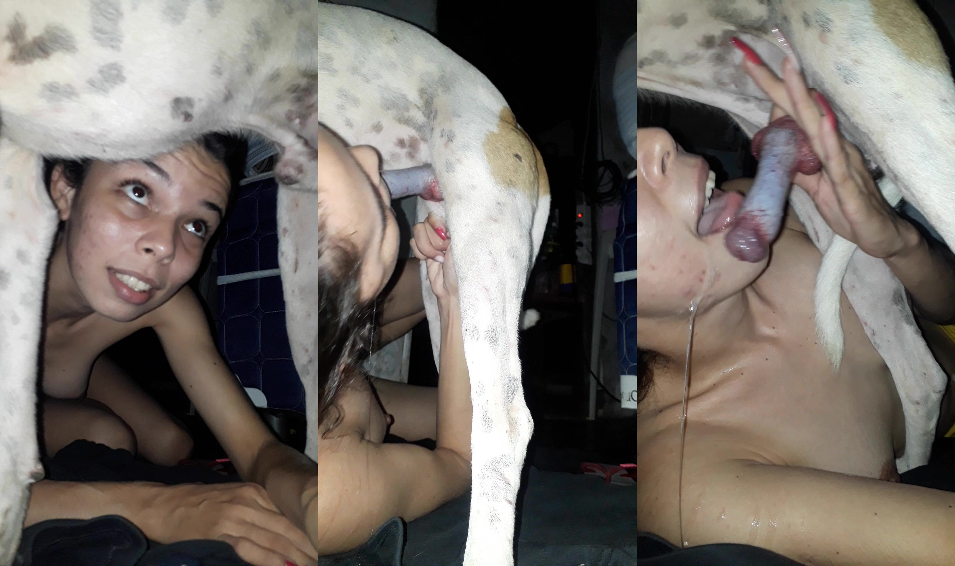 3d dog porn: dog fucking gay porn